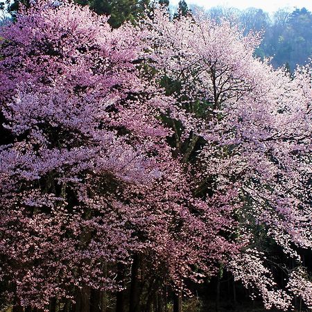 Aizu Astraea Hotel Minamiaizu Εξωτερικό φωτογραφία